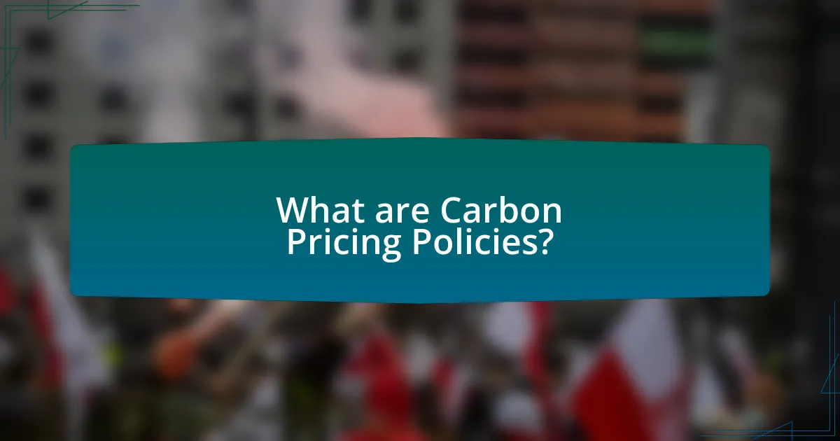 What are Carbon Pricing Policies?